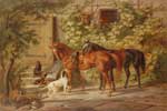 Картинки лошади