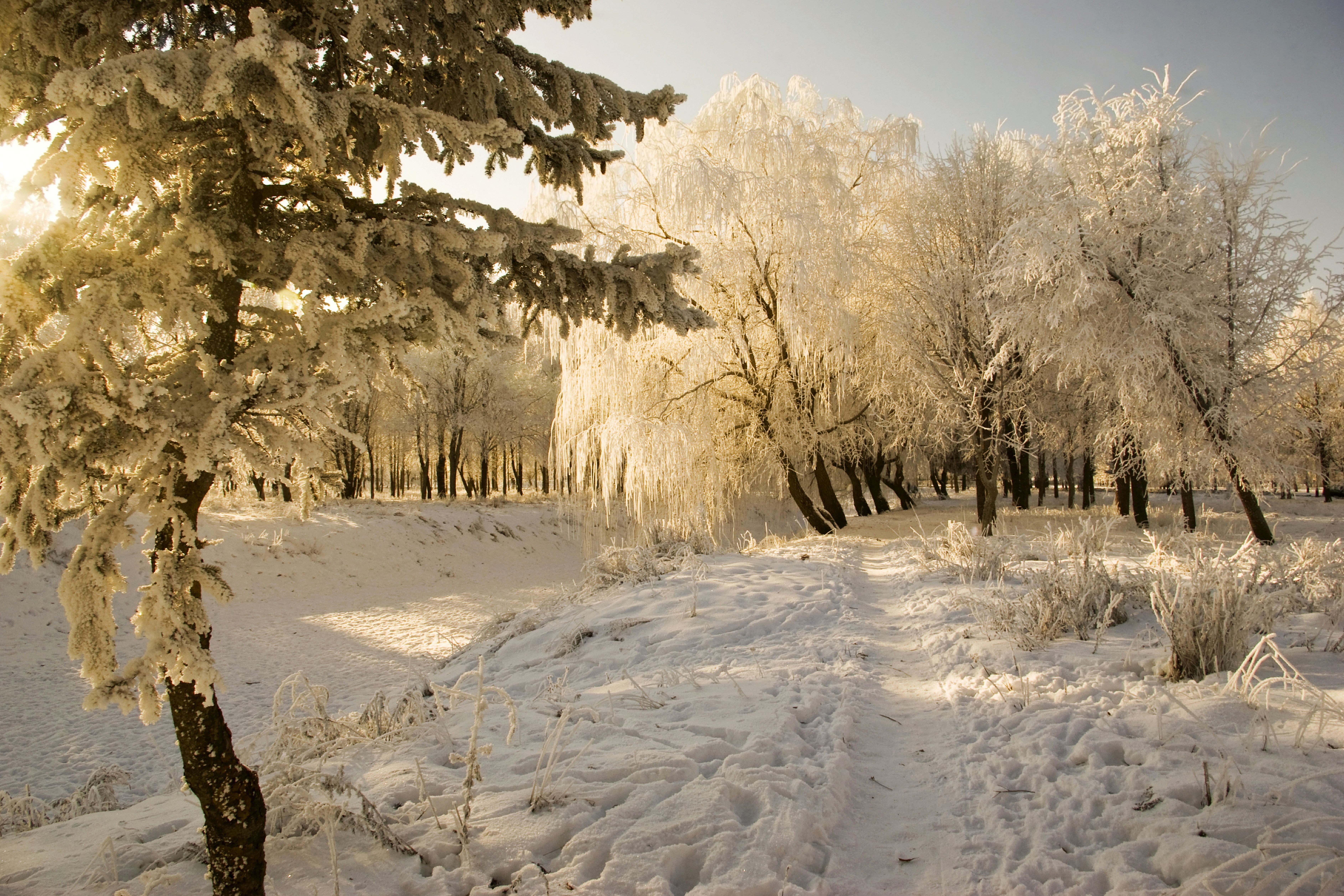 Красивая природа февраль. Зима февраль. Зимний пейзаж. Февраль природа. Январь природа.