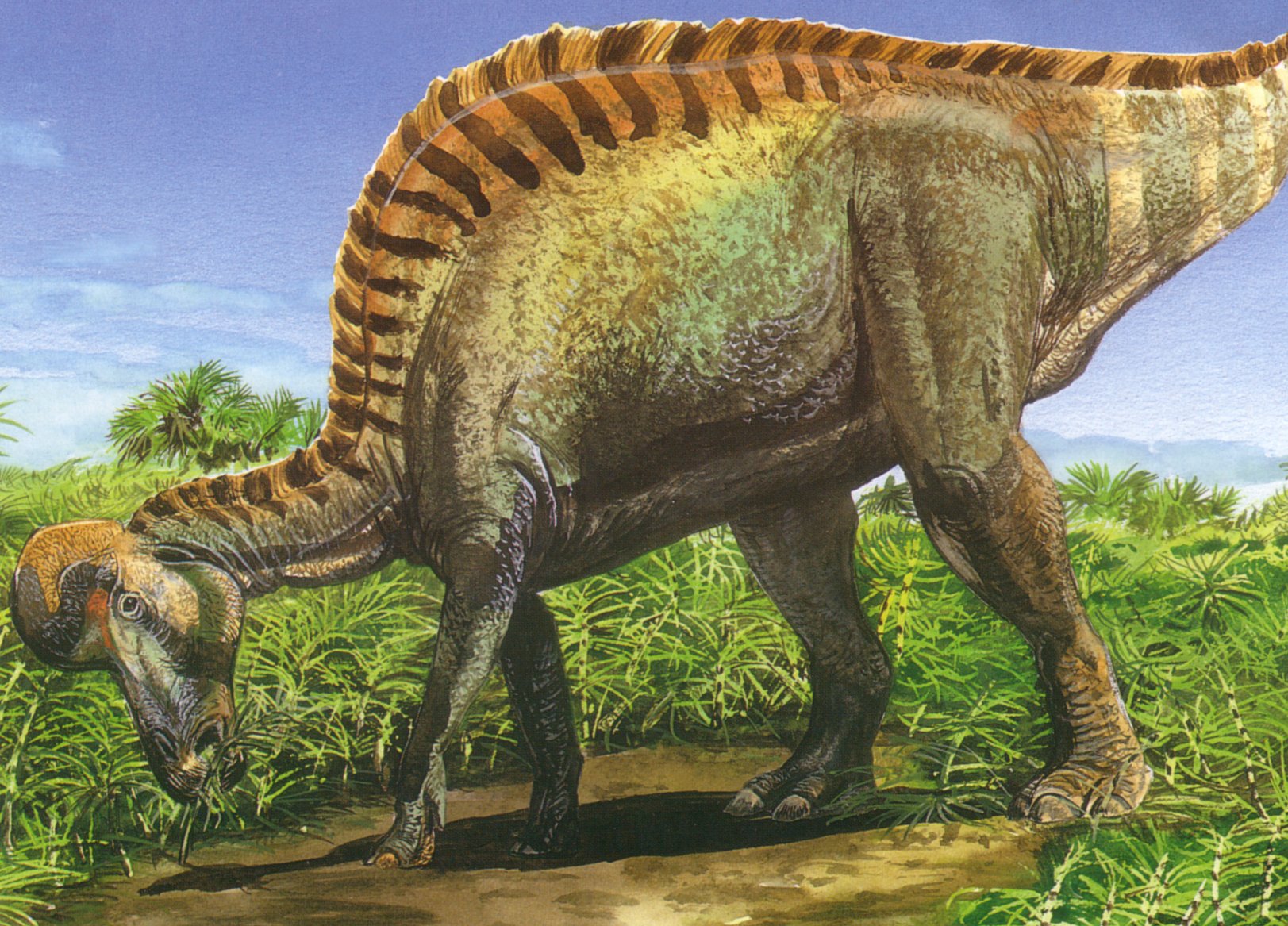 Dinosaur king saurolophus ♥ Parasaurolophus Prehistoric wild
