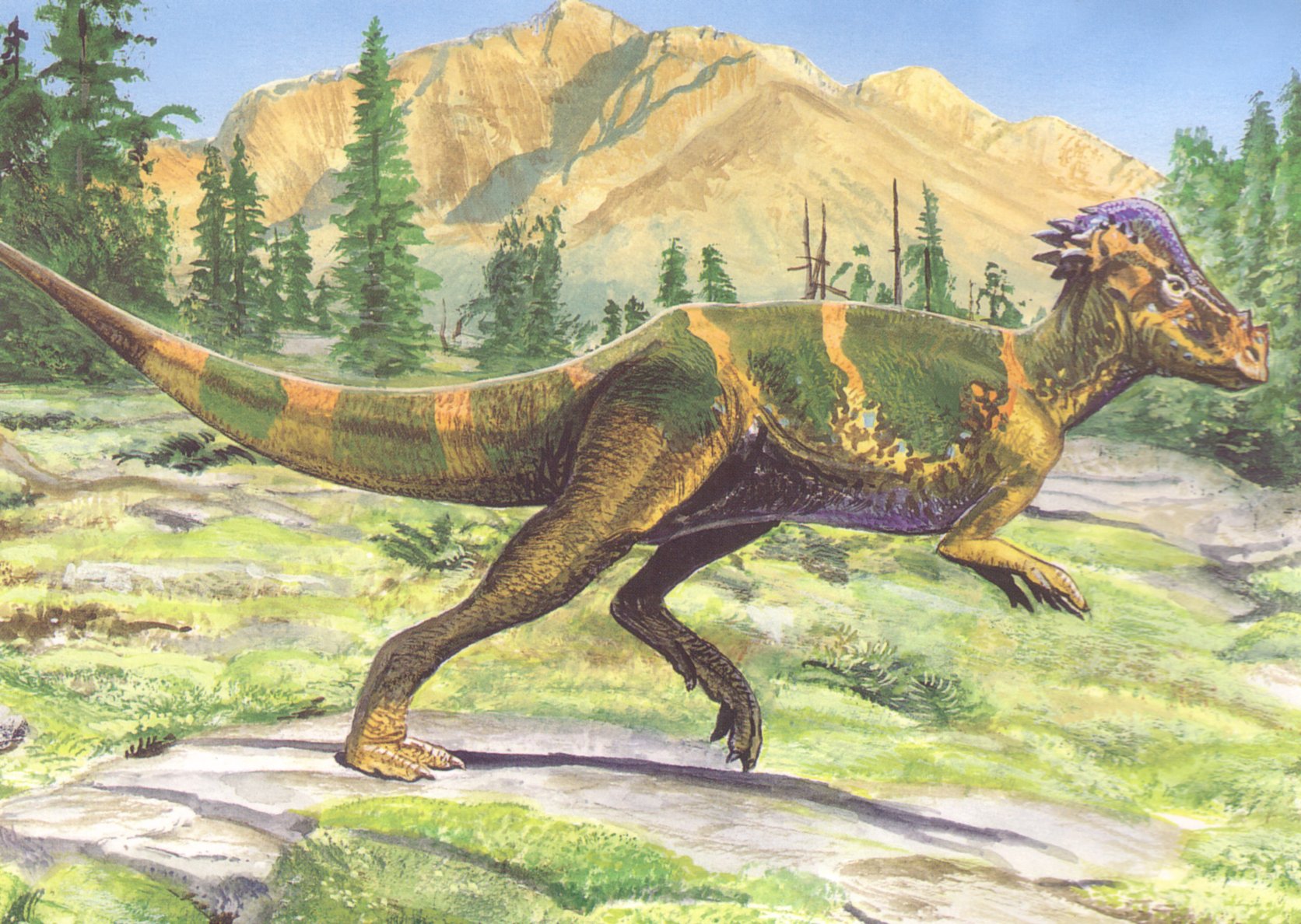 Любой динозавр. Тероподы КУРОЗАВРЫ. Сухопутные динозавры. Динозавры картинки. Красивые динозавры.