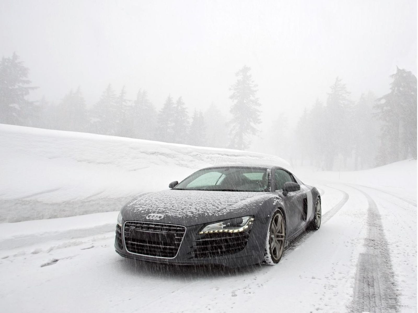 Корч Audi r8