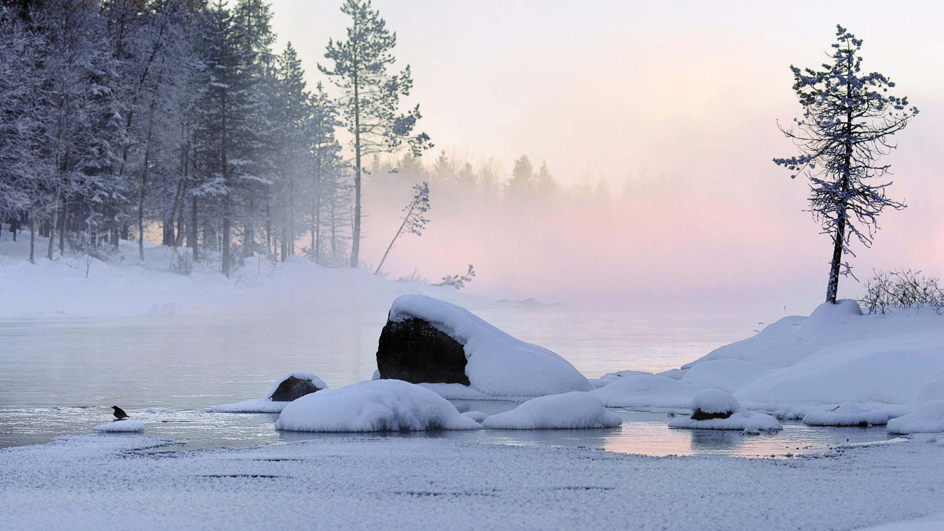 Река снежный сугроб. Финляндия пейзажи. Лед в лесу. Озеро в лесу зимой. Река зимой.