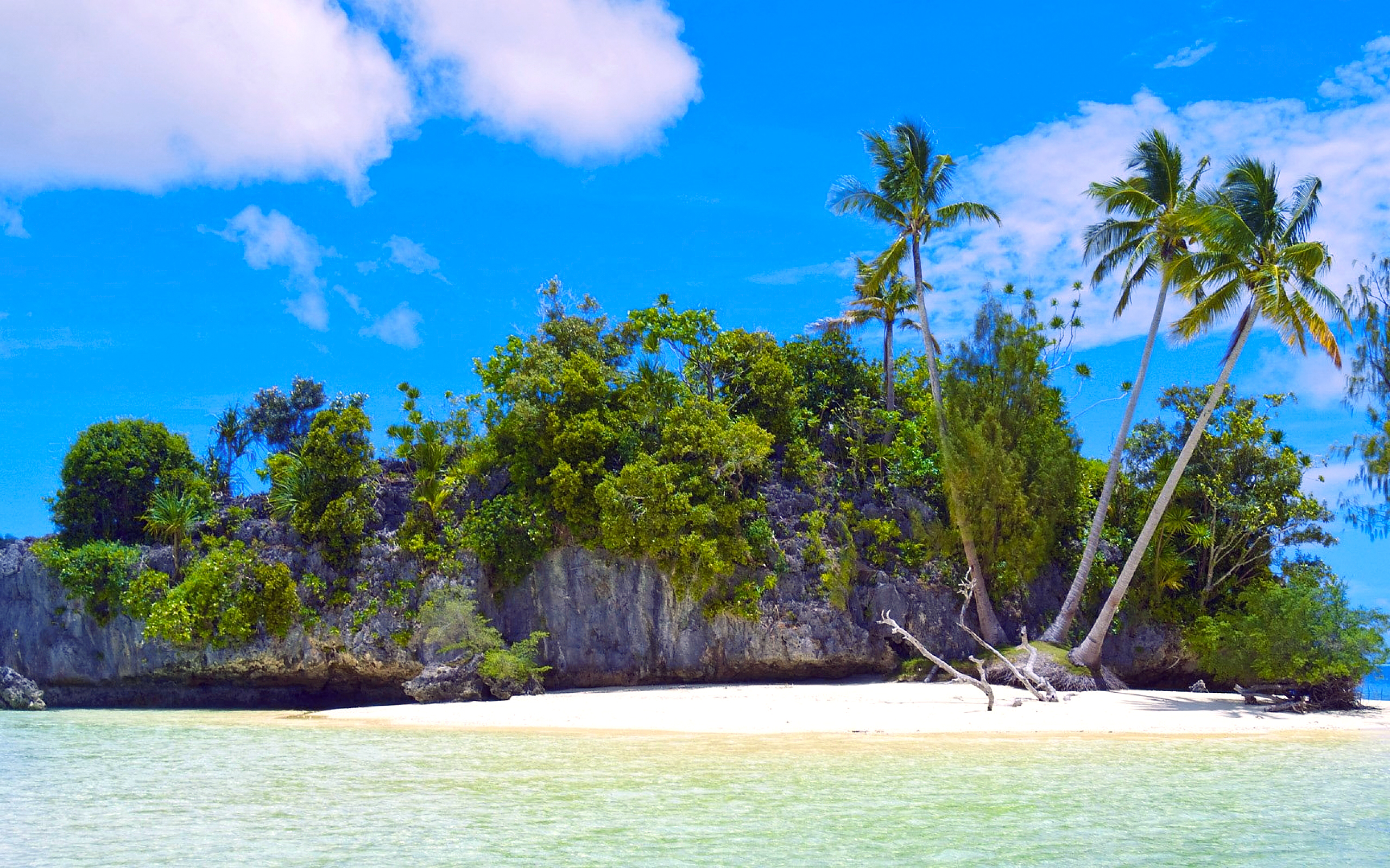 Islanded картинки. Парадиз остров Карибского моря. Тропикал Айленд. Остров Палау.