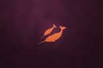 картинки hi tech логотипы,ubuntu