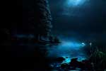 картинки пейзажи,озеро ночь лебеди