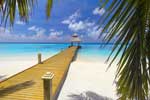 картинки пейзажи,багамы пляж побережье