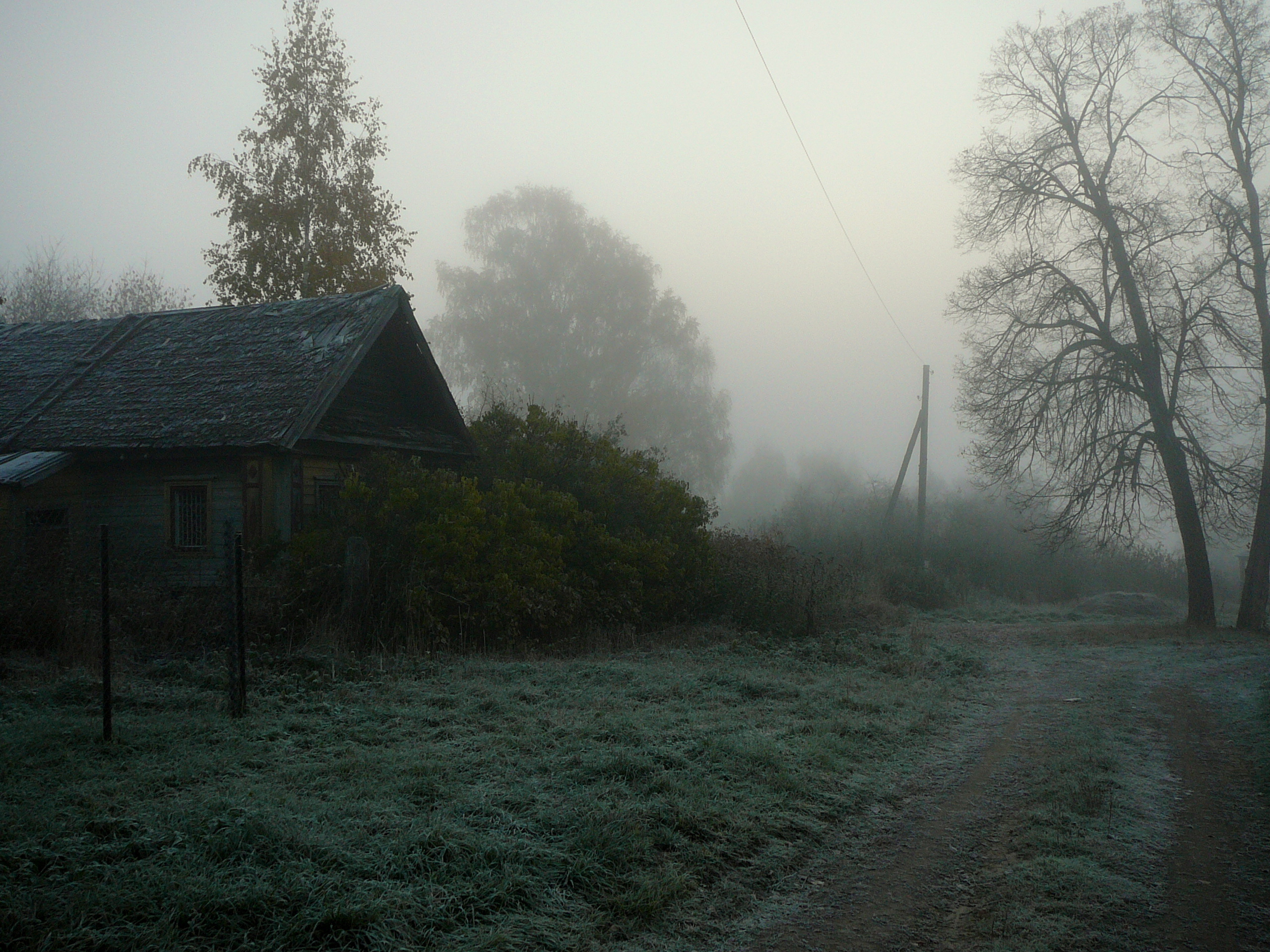 Кругом была глушь. Мрачный пейзаж. Страшная деревня. Заброшенная деревня в лесу. Деревня в тумане.
