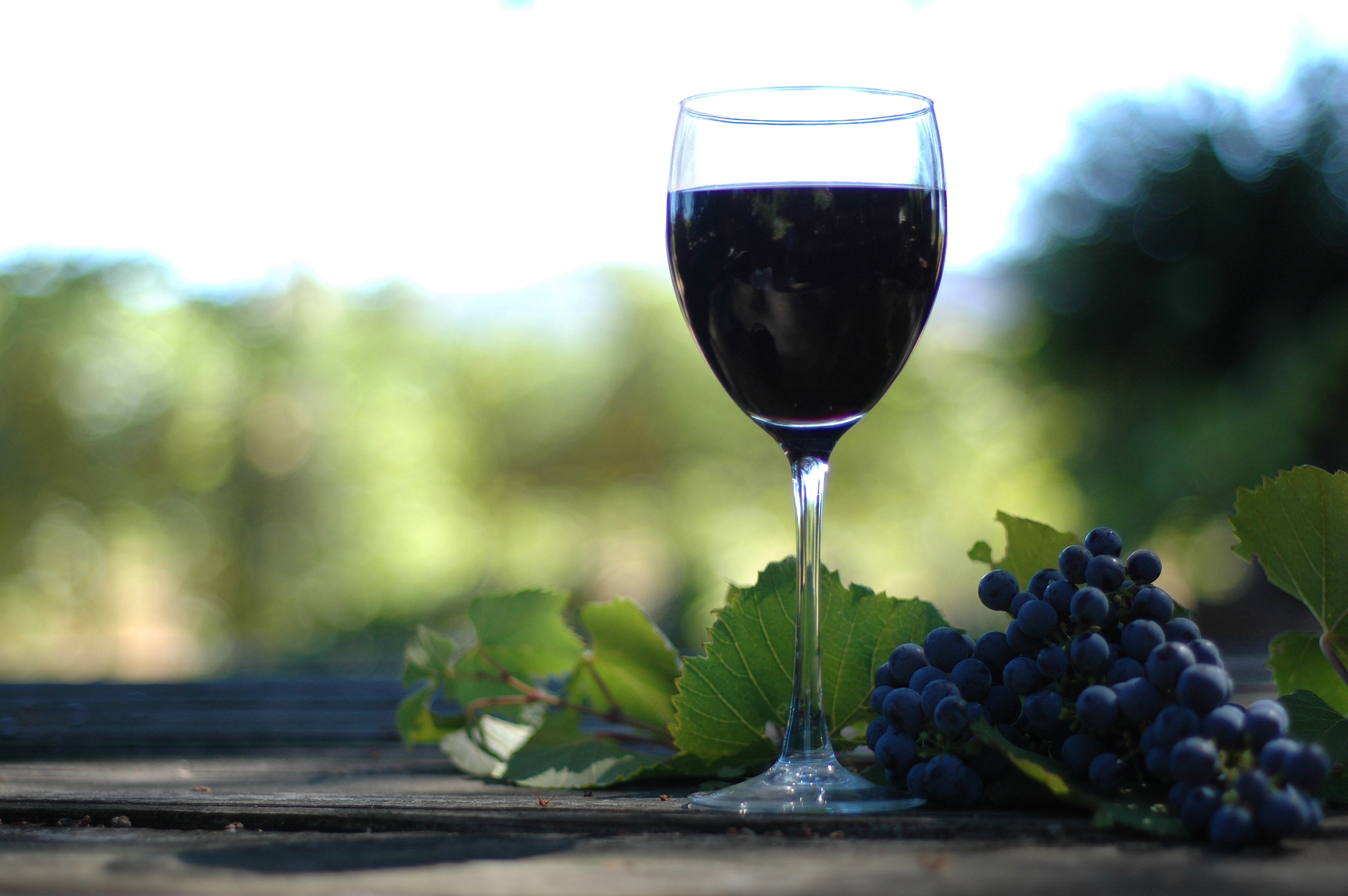 Картинку вине. Виноградное вино. Виноград на темном фоне. Вино обои. Вино на синем фоне.