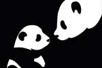 Картинки животные,панды мама и ребёнок