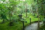 картинки природа,японский сад