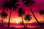 картинки стиль,пальмы пляж