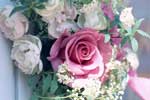 картинки цветы,роза и пионы