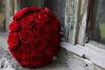 картинки цветы,букет красных роз