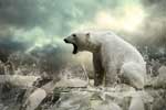 картинки белого медведя скачать бесплатно
