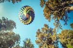 фото воздушного шара с корзиной