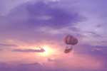 фото воздушных шаров в небе