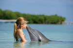 картинки подводный мир дельфины