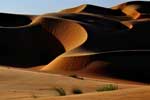 картинки про пустыню